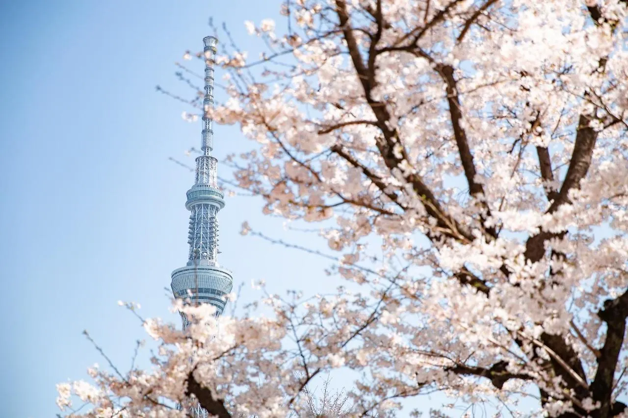 ***  Asakusa Kokono Club Hotel 도쿄 일본
